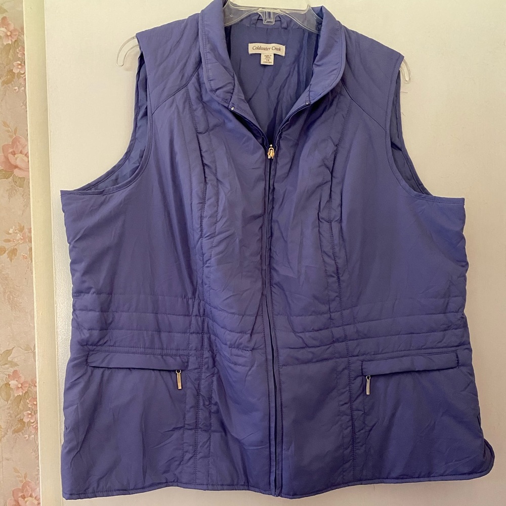 Blue Vest